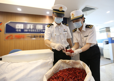 中非經(jīng)貿(mào)博覽會 合作成果豐碩，攜手共譜發(fā)展新篇